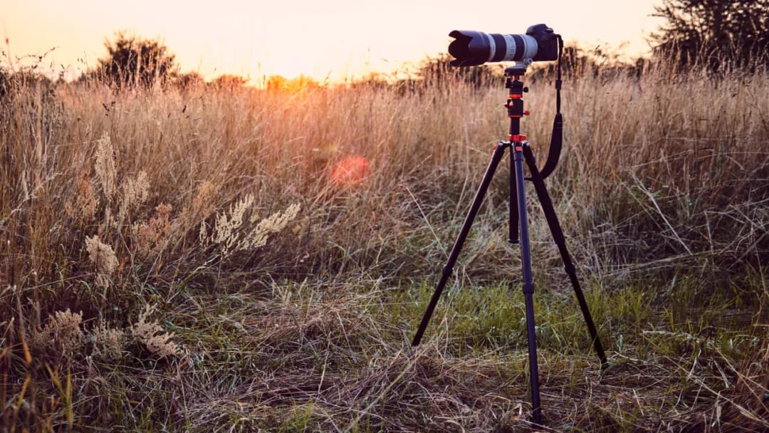 Jaki statyw do aparatu wybrać, by uniknąć rozczarowań?